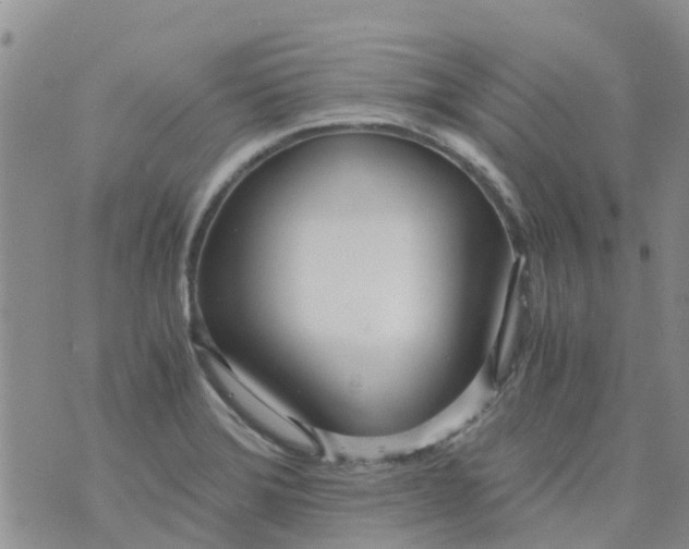 X0000073921372200609011758