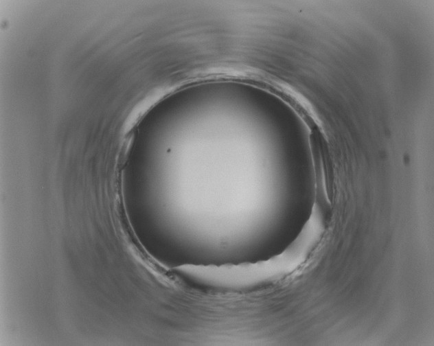 X0000073921373200609011758