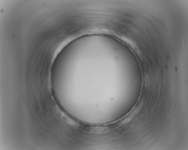 X0000073921374200609011758