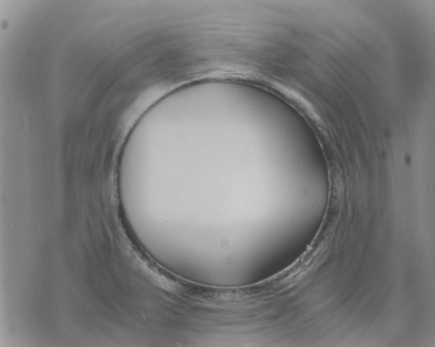 X0000073921375200609011758