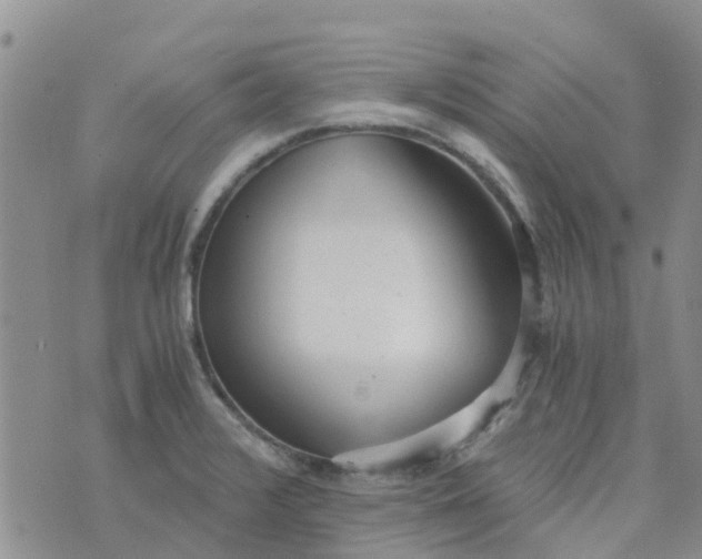 X0000073921376200609011758