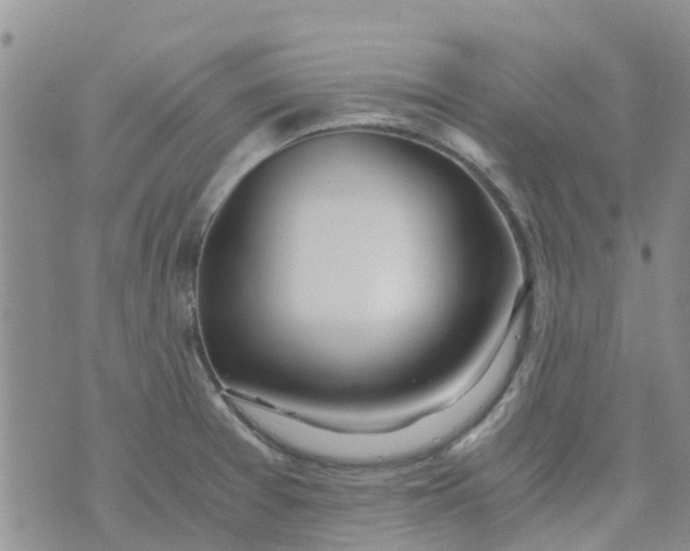 X0000073921377200609011758