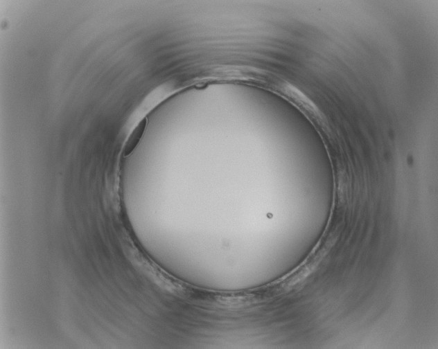 X0000073921378200609011758