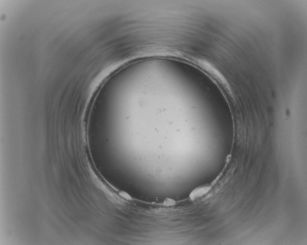 X0000073921380200609011758