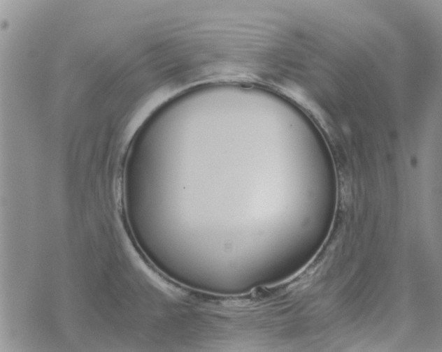 X0000073921383200609011758