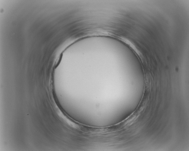 X0000073921387200609011758