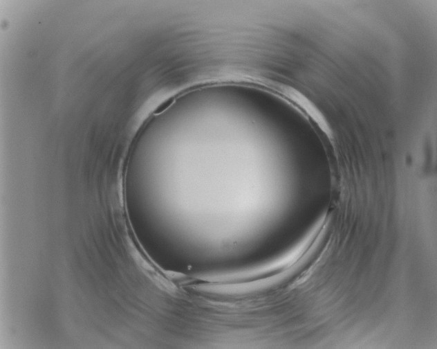 X0000073921388200609011758