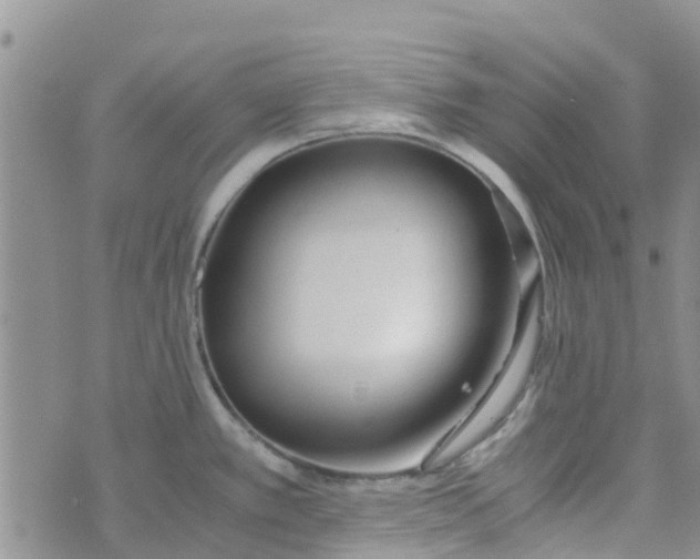 X0000073921389200609011758