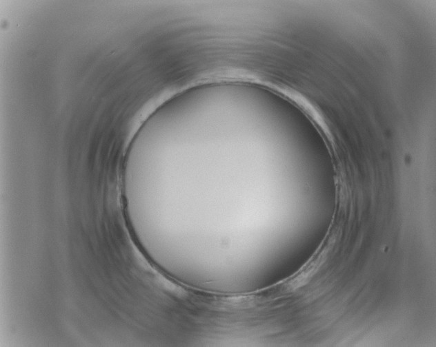 X0000073921390200609011758