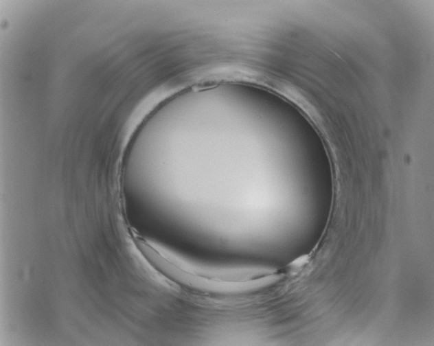 X0000073921392200609011758