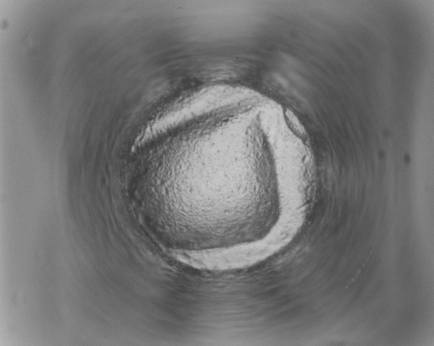 X0000073921393200609011757