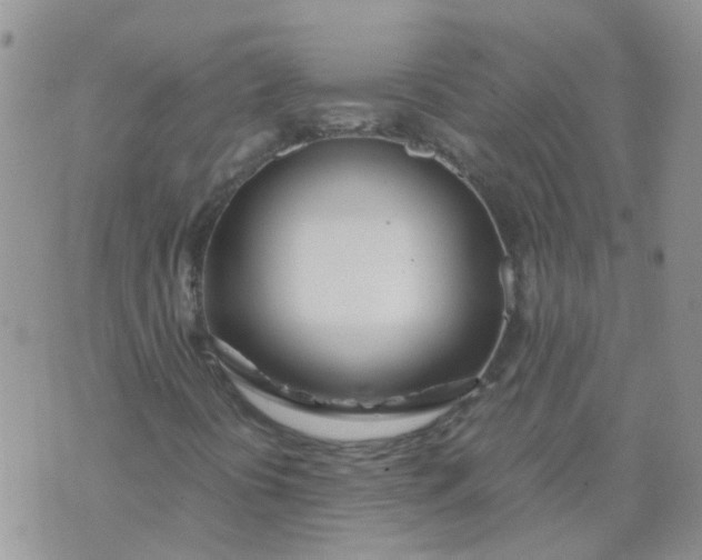 X0000073921394200609011757