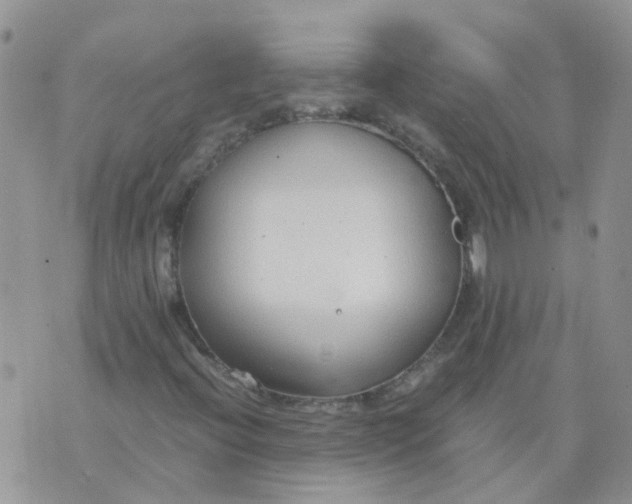 X0000073921396200609011757