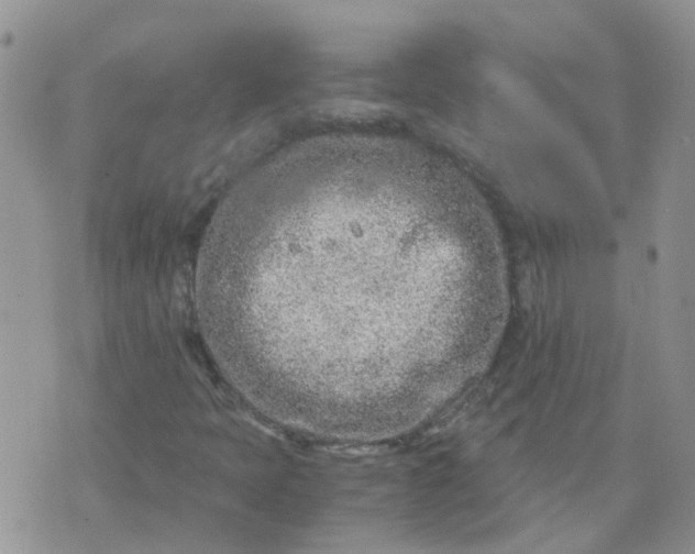 X0000073921397200609011757