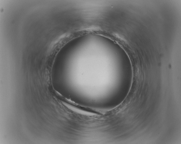 X0000073921398200609011757