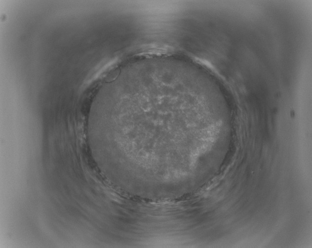 X0000073921399200609011757