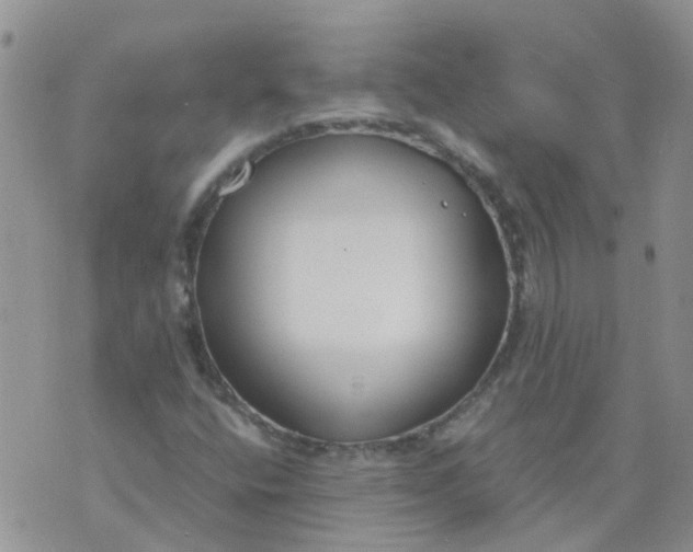 X0000073921400200609011757