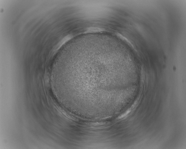 X0000073921401200609011757