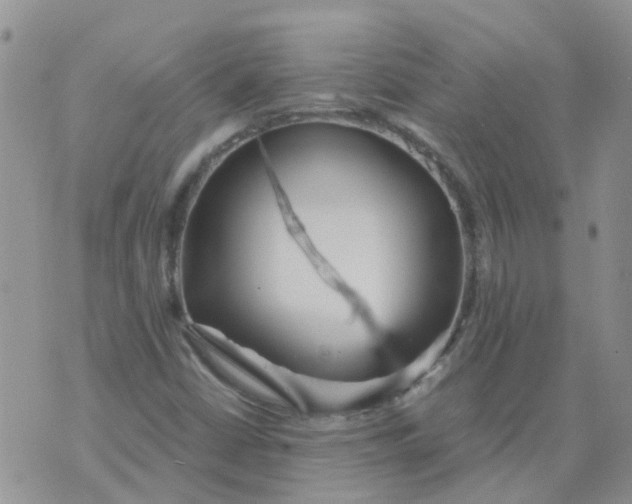 X0000073921402200609011757