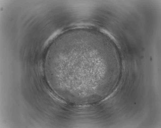 X0000073921403200609011757