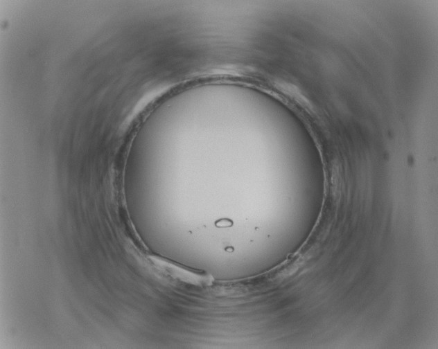 X0000073921404200609011757