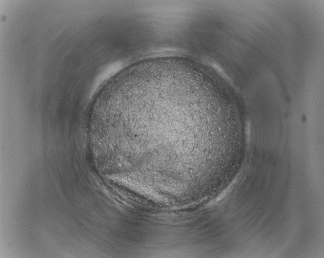 X0000073921405200609011757