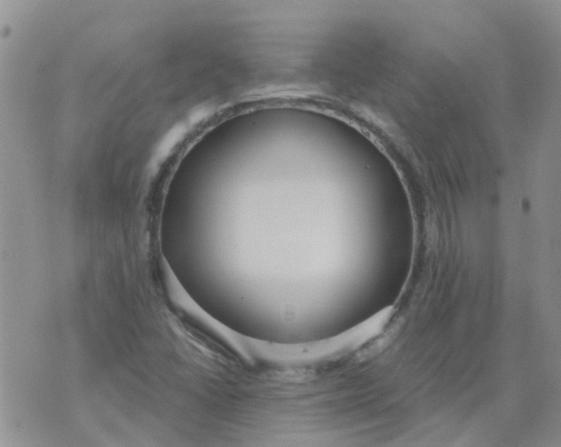 X0000073921406200609011757