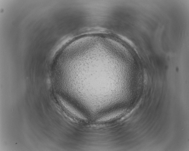 X0000073921407200609011757