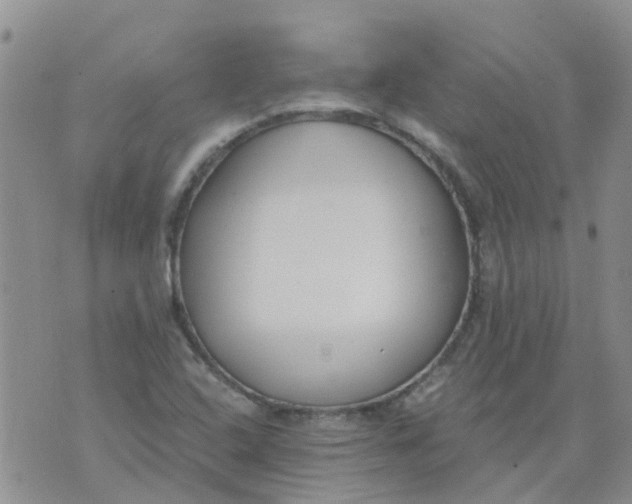 X0000073921408200609011757