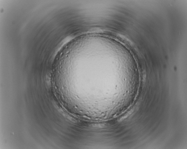 X0000073921409200609011757