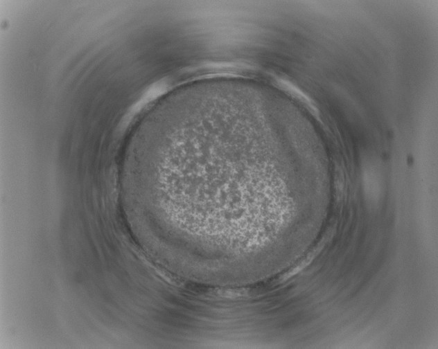 X0000073921411200609011757