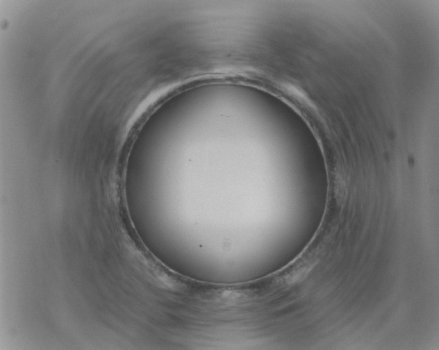 X0000073921412200609011757