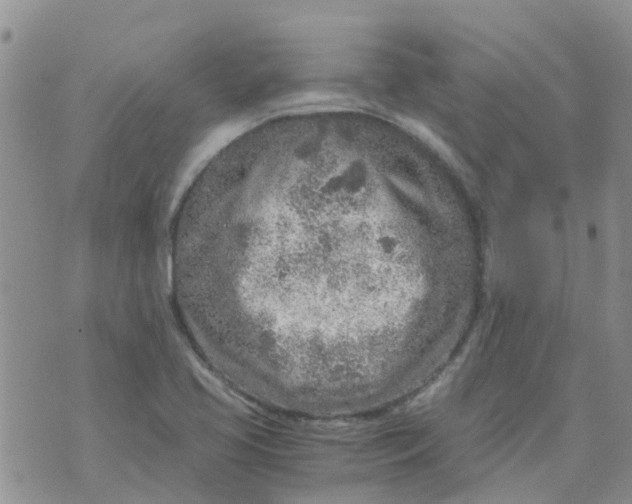 X0000073921413200609011757