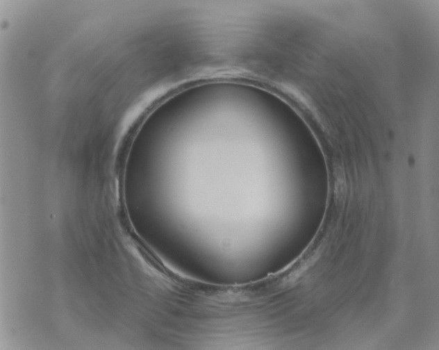 X0000073921414200609011758