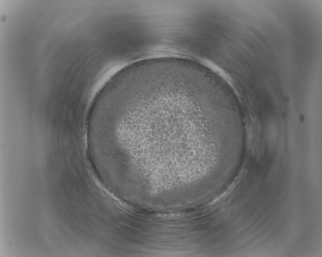 X0000073921415200609011758