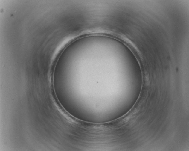 X0000073921416200609011758