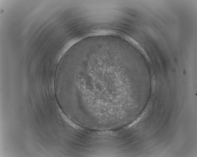 X0000073921417200609011758