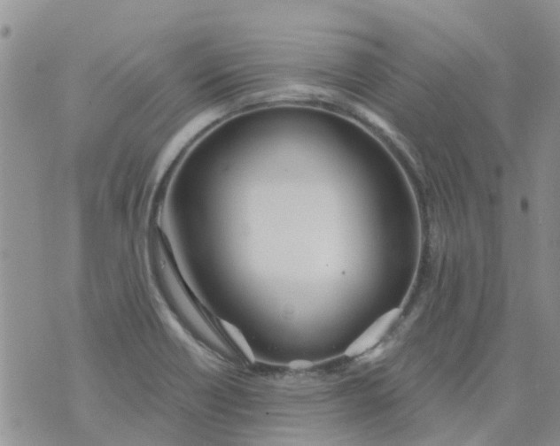 X0000073921418200609011758