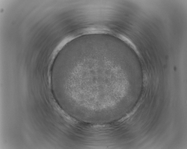 X0000073921419200609011758