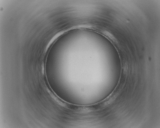 X0000073921420200609011758