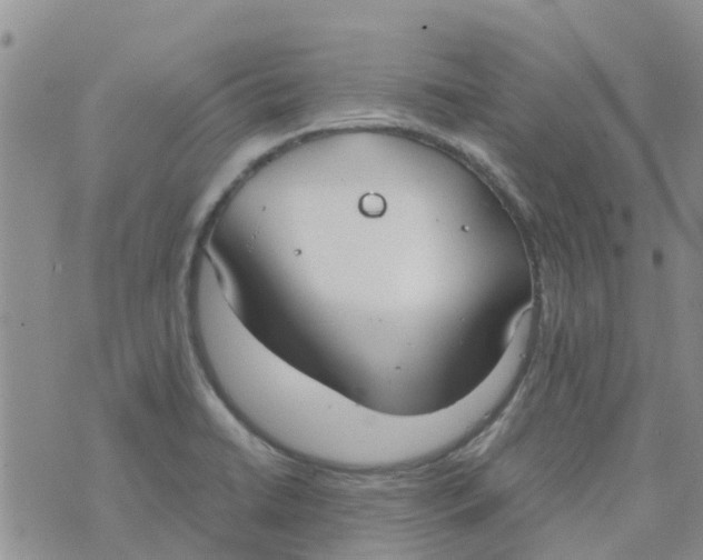 X0000073921422200609011758