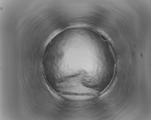 X0000073921425200609011758