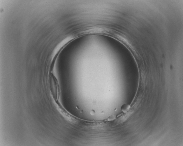 X0000073921426200609011758