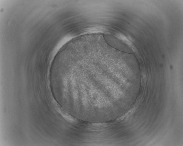 X0000073921427200609011758