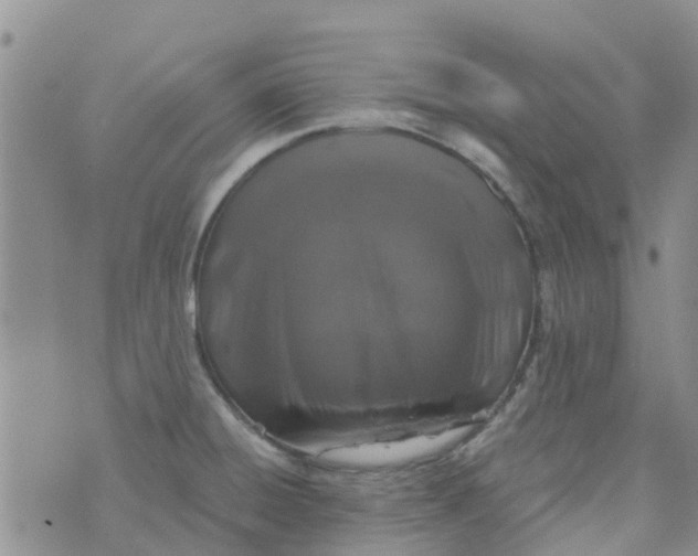 X0000073921428200609011758