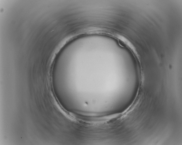 X0000073921429200609011758