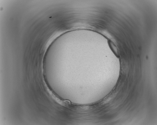 X0000073921431200609011758