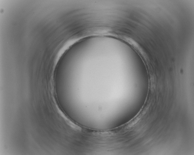 X0000073921432200609011758