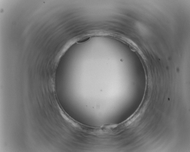 X0000073921433200609011758