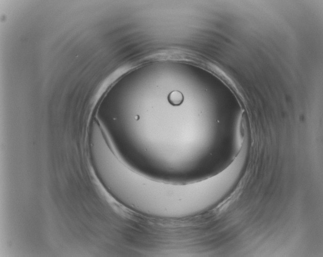 X0000073921434200609011758